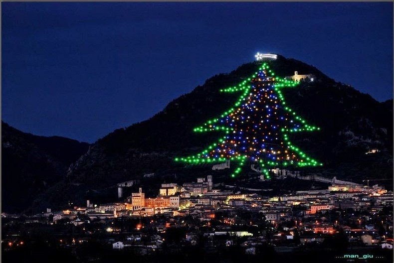 Descubrí los árboles de Navidad más icónicos del mundo