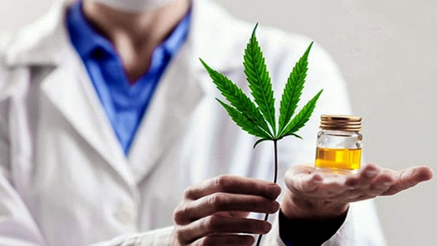 Diputados evalúan los alcances del proyecto regulatorio del cannabis medicinal