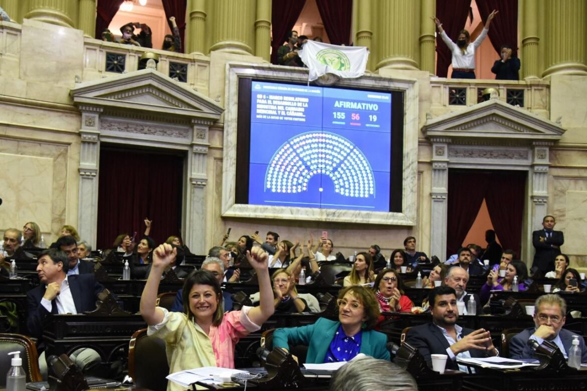 Diputados aprobó proyectos de incentivo a la construcción, respuesta integral al vih y cannabis medicinal