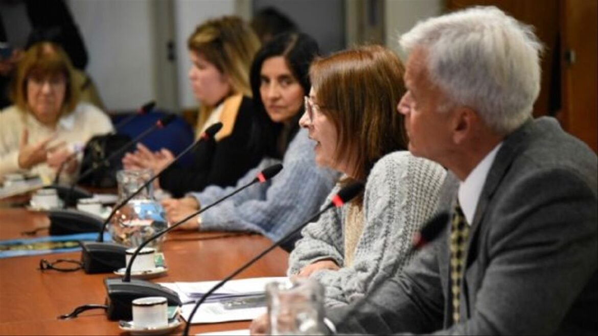 Con madres del dolor, en diputados comenzó a debatirse el proyecto que modifica el Código Penal en relación a las carreras ilegales