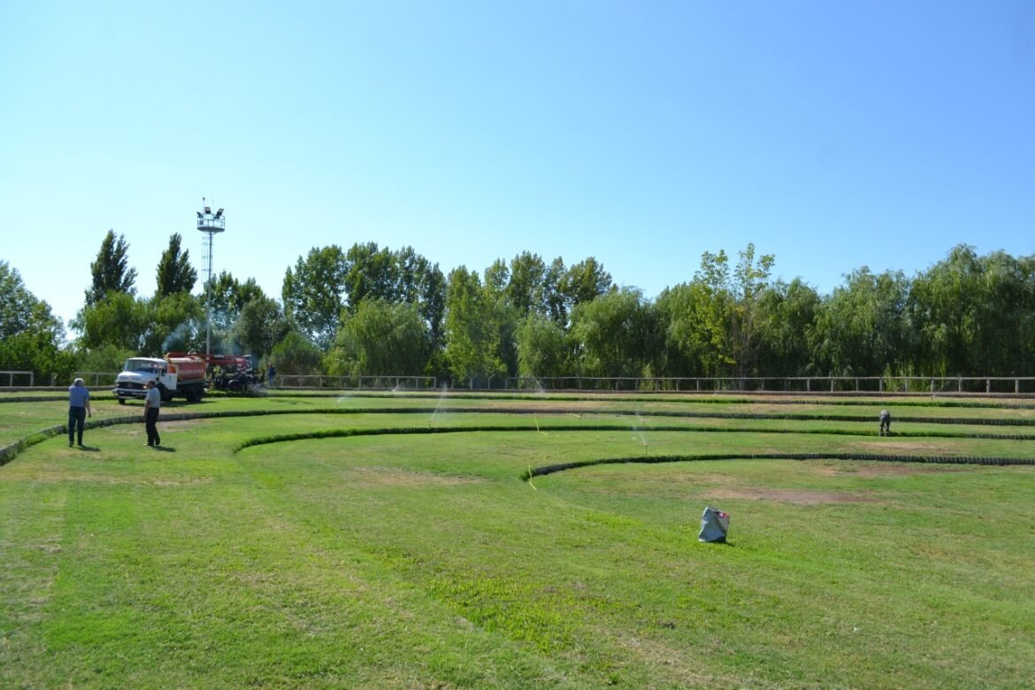 El Parque La Palmira amplía su red de luminarias led