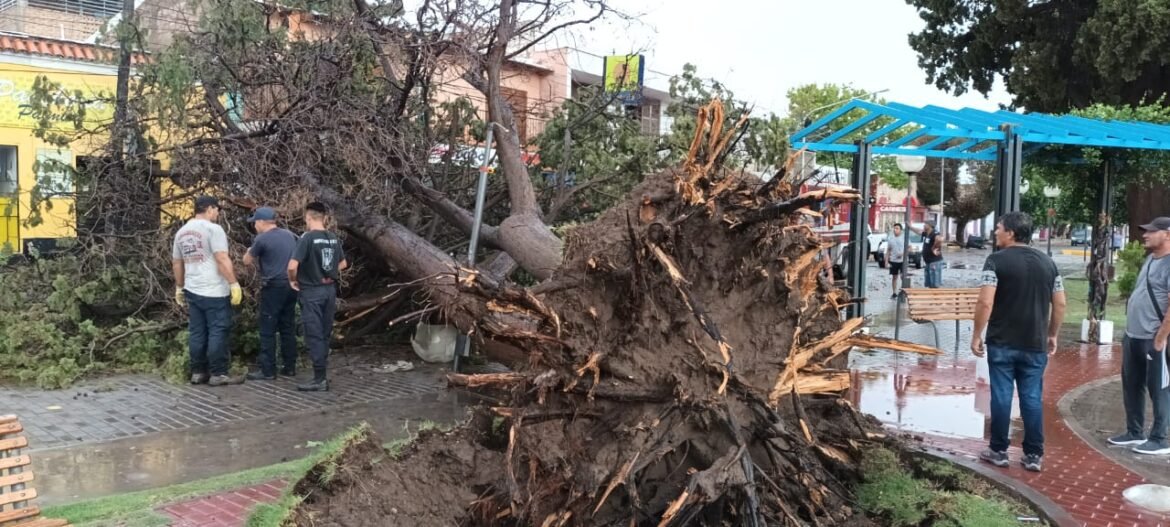 Fuerte temporal en Palmira