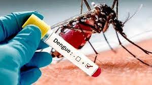 La DGE difunde recomendaciones para una Escuela Libre de Dengue