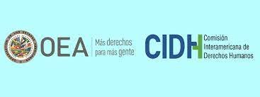 CIDH: Argentina debe respetar estándares de uso de la fuerza provincial durante las protestas en Jujuy