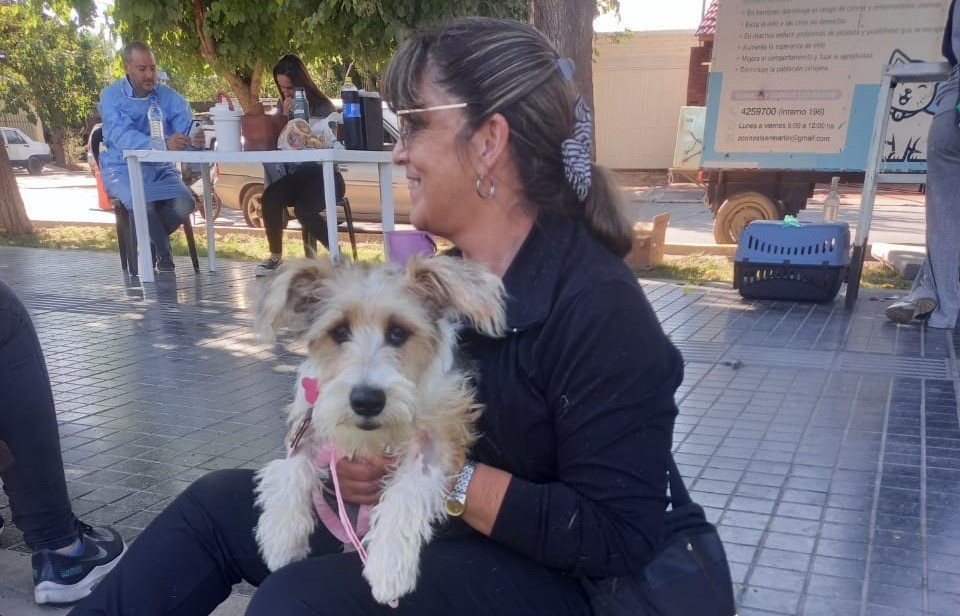 Cronograma de Julio para esterilización de mascotas