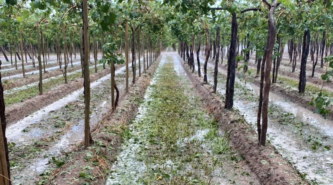 Daños menores por el granizo en algunos distritos