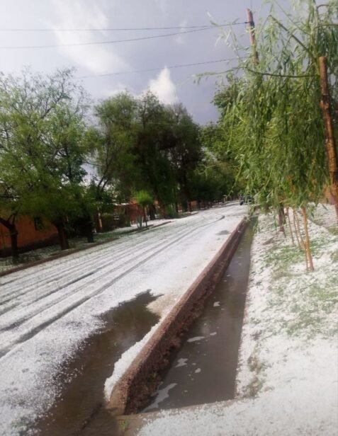 Lluvia y granizo afectaron distritos productivos del departamento