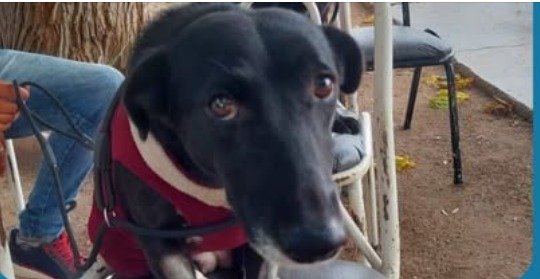 𝟱𝟱.𝟬𝟬𝟬 historias de cuidad