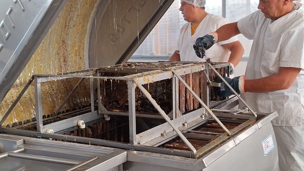 Comenzó la temporada de extracción en la sala comunitaria de miel
