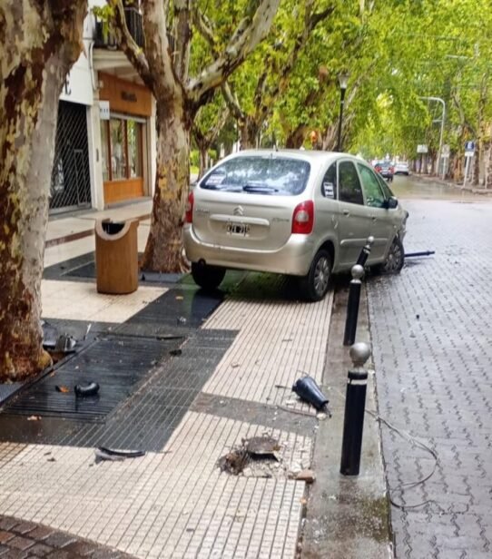 Destrozos en el paseo Pellegrini: el conductor tendrá que pagar más de 8 millones de pesos