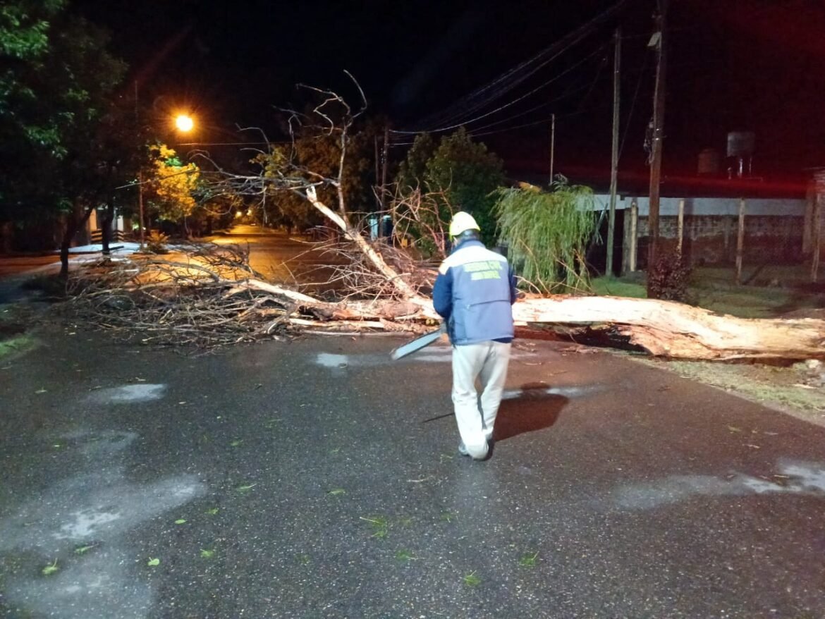 San Rafael: Equipos municipales trabajaron durante toda la noche para mitigar las afecciones causadas por la tormenta