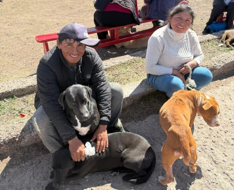 San Martín tendrá un Centro integral veterinario municipal