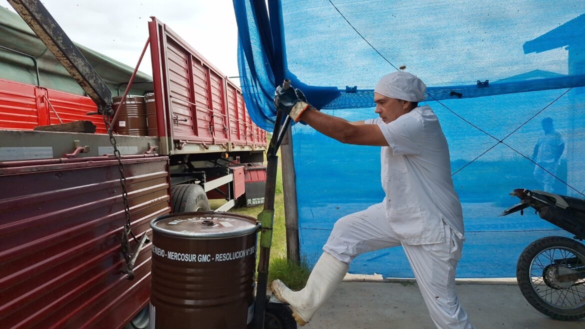 Sala municipal de extracción de miel: ya se exportaron más de 17 toneladas